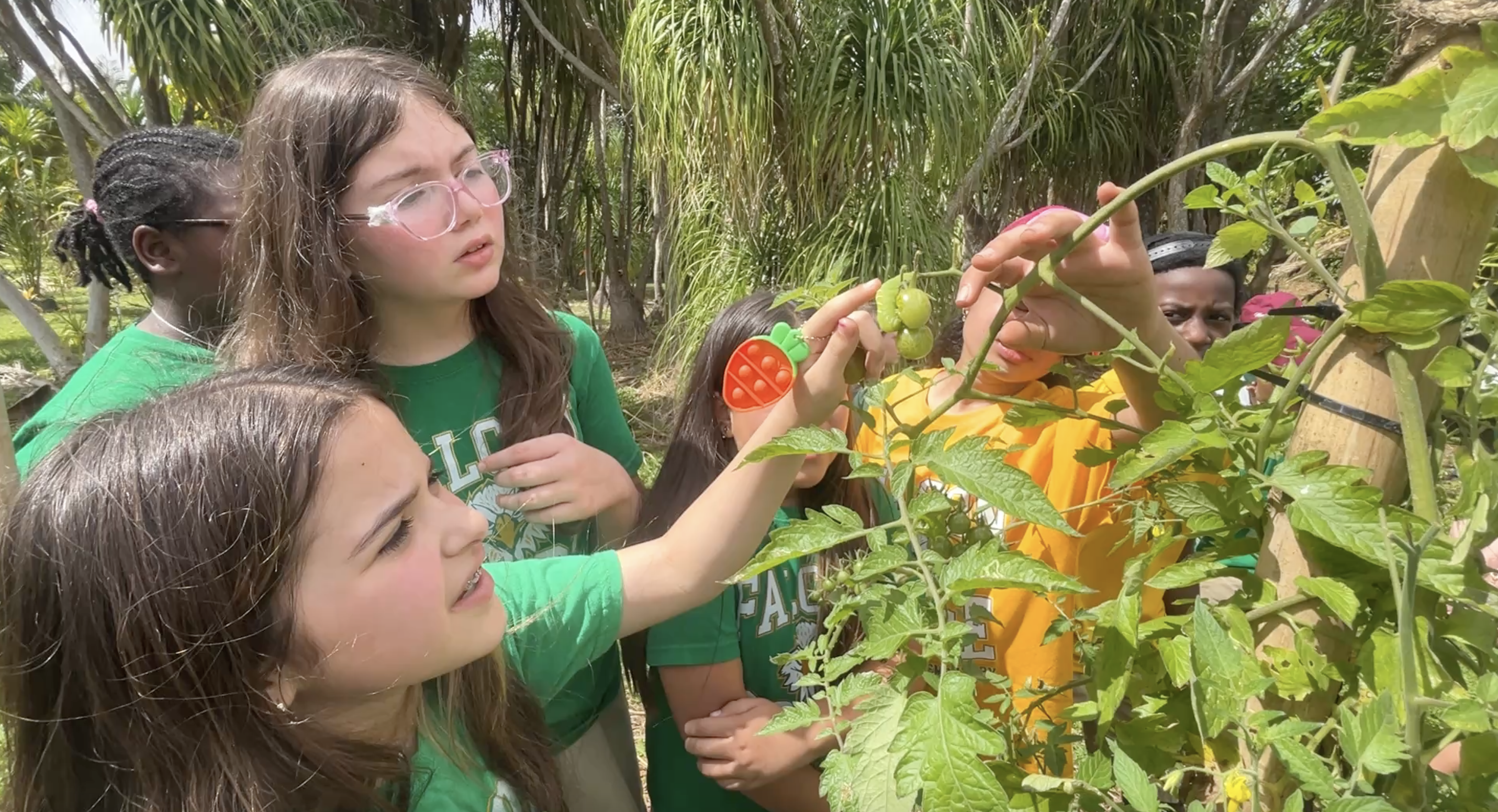 Students examining plants and growth in the garden at Fertile Earth Worm Farm.