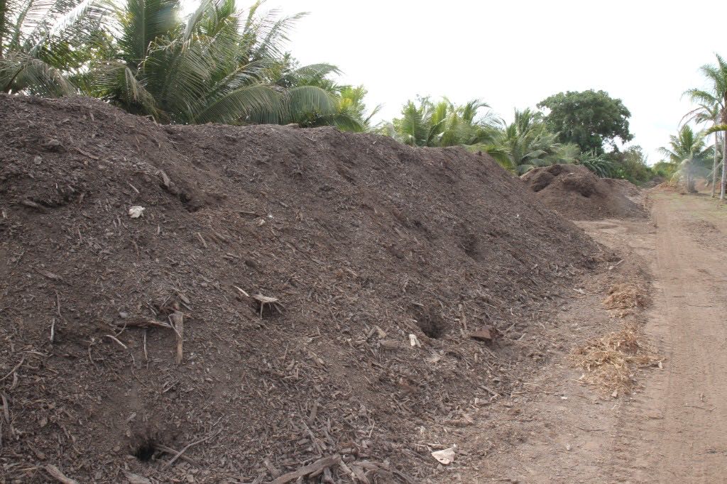 Compost windrows at Fertile Earth Worm Farm